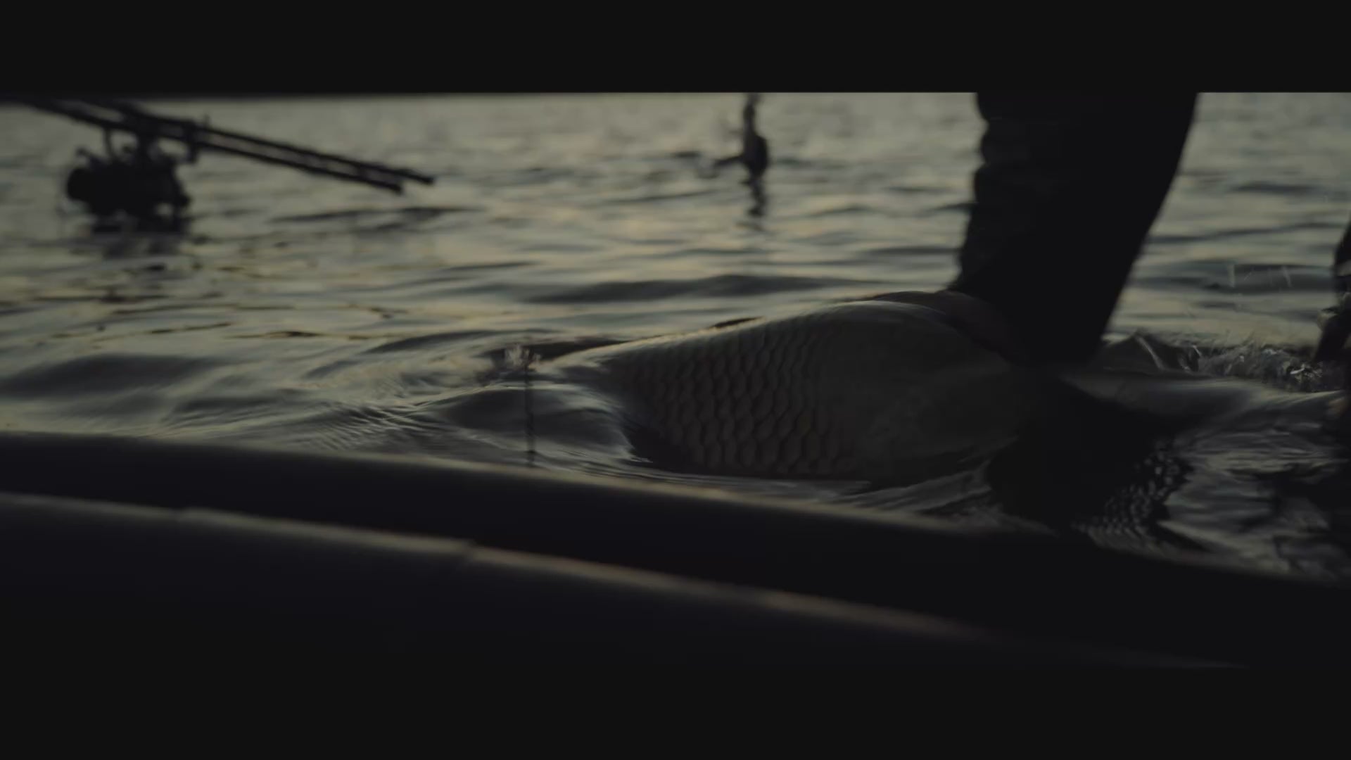 Essentials - Aiguille à œillet pour montage sur filière