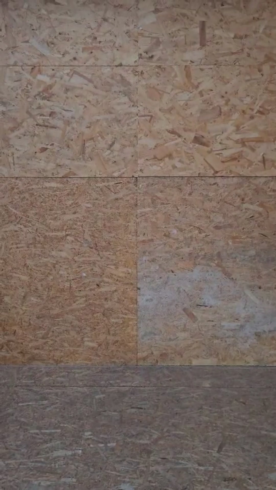 Premium HD - Square Carp Design - Hættetrøje